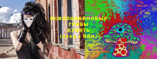 СК Бикин