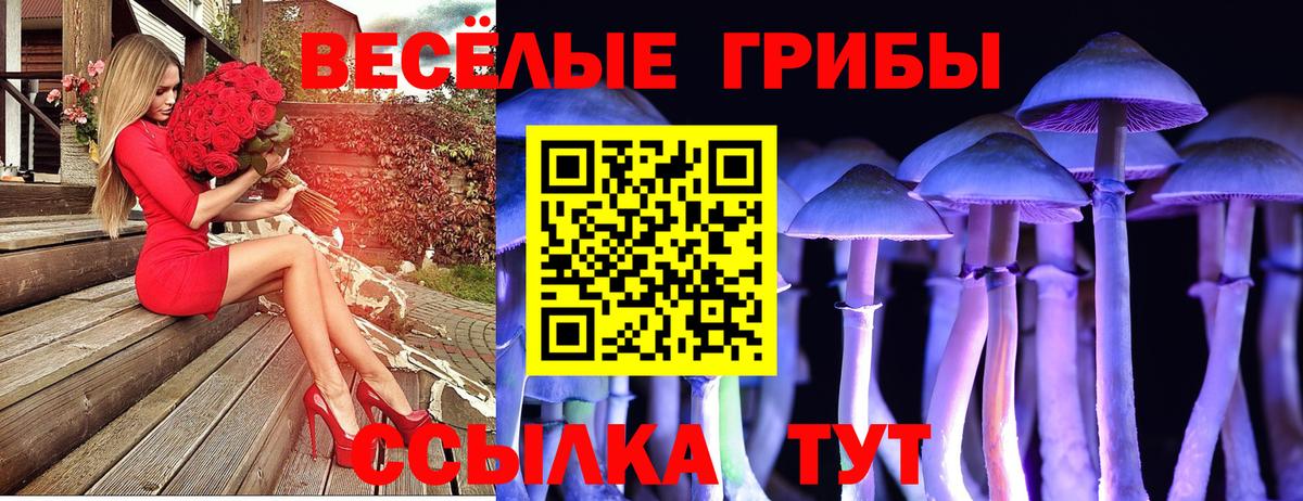 Галлюциногенные грибы ЛСД Кунгур