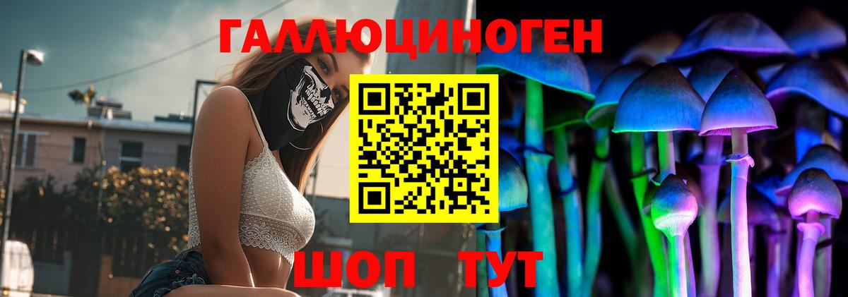 Псилоцибиновые грибы MAGIC MUSHROOMS  Вход с VPN  Кунгур 